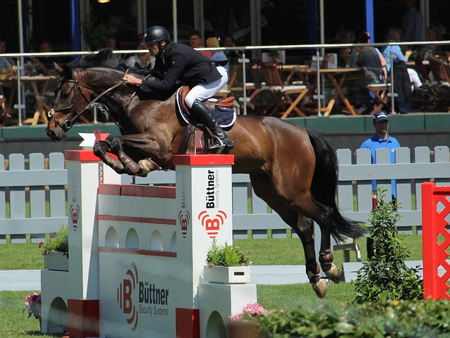 莱万：我经常带伤上场，肋骨骨折也硬撑；不着急决定未来