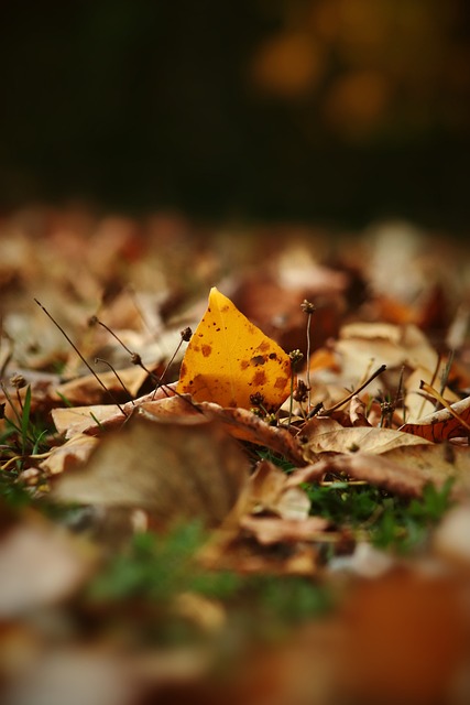 即将HWG！罗马诺：巴黎即将敲定扎巴尔尼交易，仅剩细节需确定